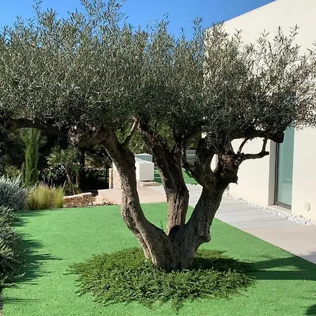 Villa Colinas Golf